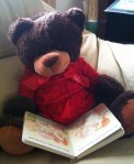 Reader bear
