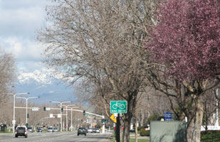 Snow on Mount Diablo